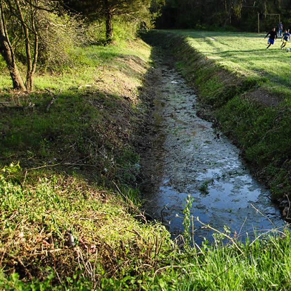 Terry's Excavating and Grading Services Sussex